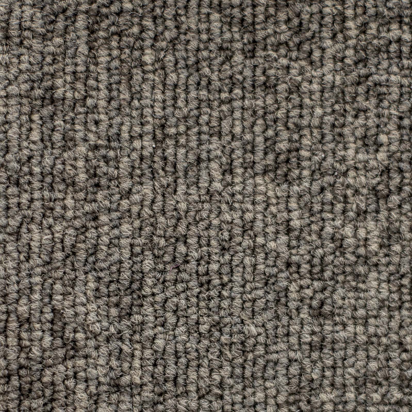 Ковролин "Зартекс" Daily 68 коричневый (4м) — купить в Орле