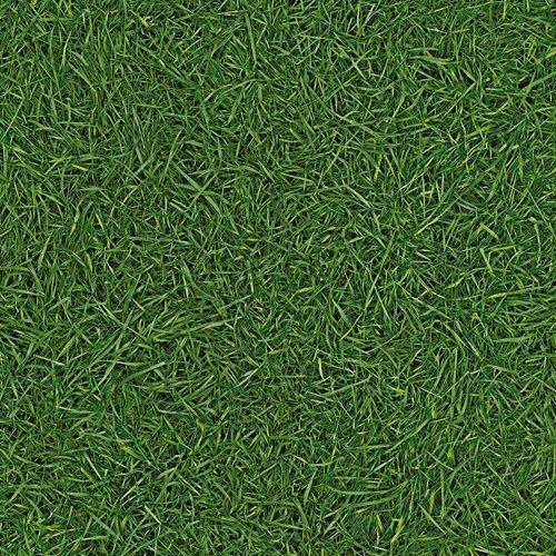 Линолеум бытовой "IVC" Neo Grass 25 (3м) — купить в Орле