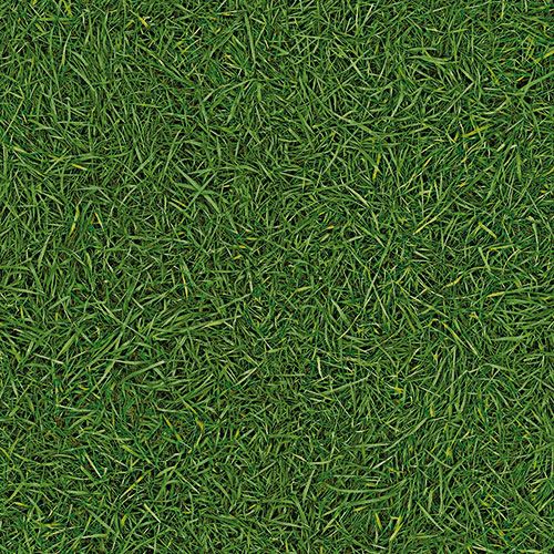 Линолеум бытовой "IVC" Bingo Grass 25 (3м) — купить в Орле