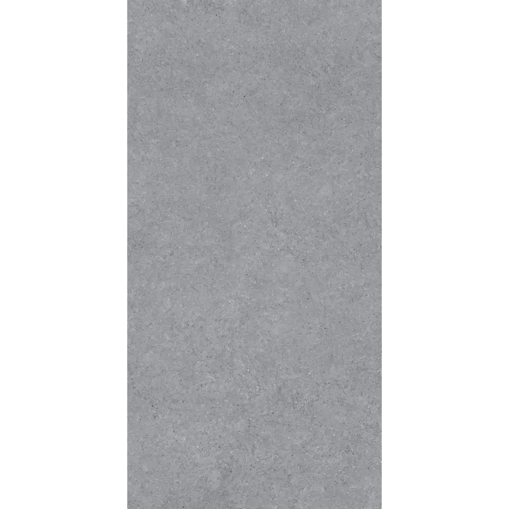 Керамогранит "Sonex" Forever Gris Matt 60x120x0.82 матовый цвет серый камень — купить в Орле