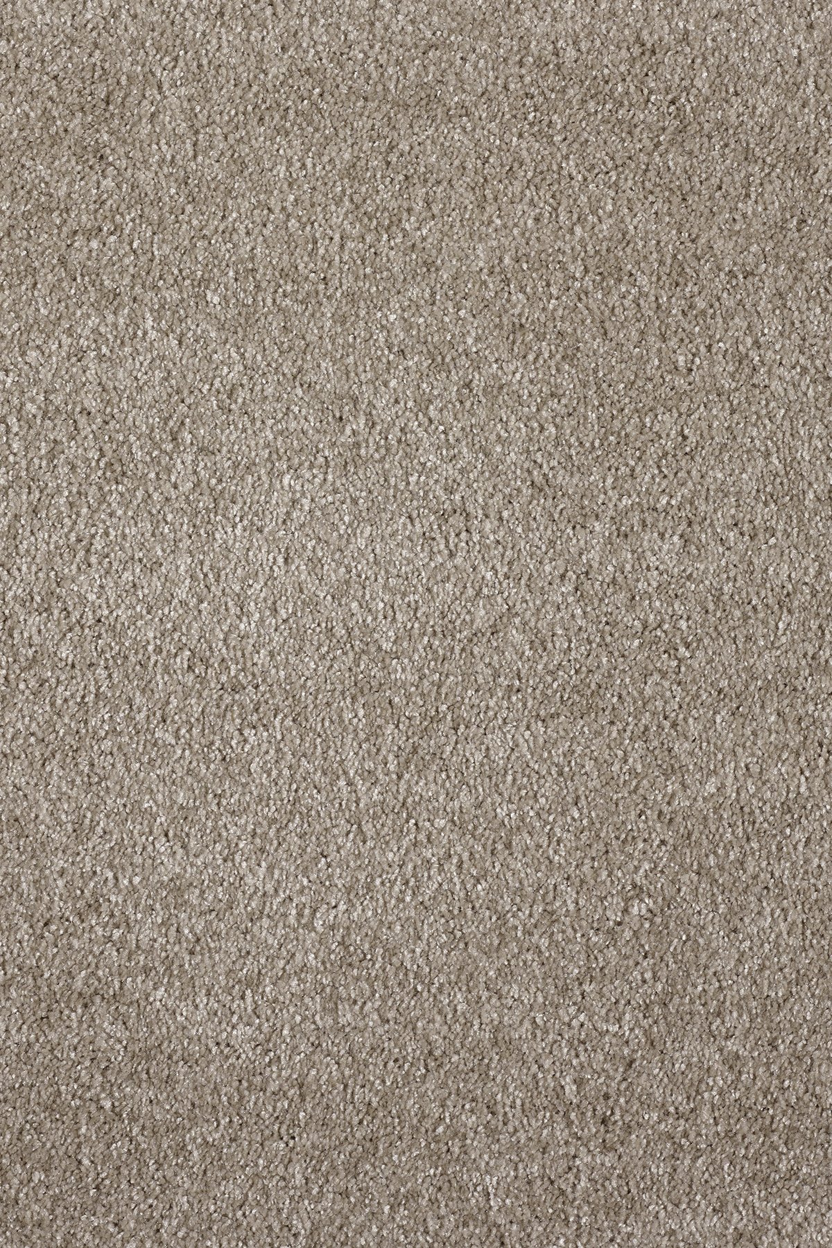 Ковровое покрытие "Bonkeel" Parana 34 (ширина 4м/5м) — купить в Орле