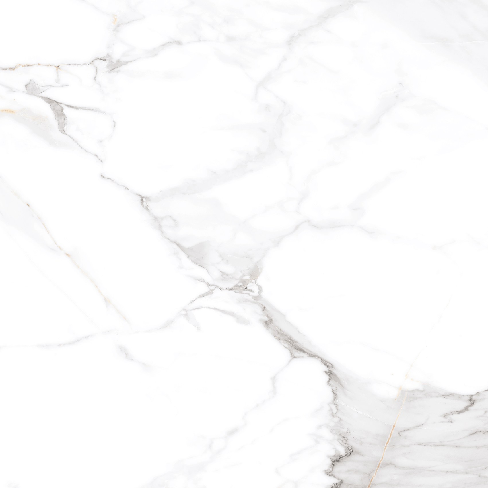 Керамогранит "Eternal" Calacatta (600*600 мм) Белый — купить в Орле