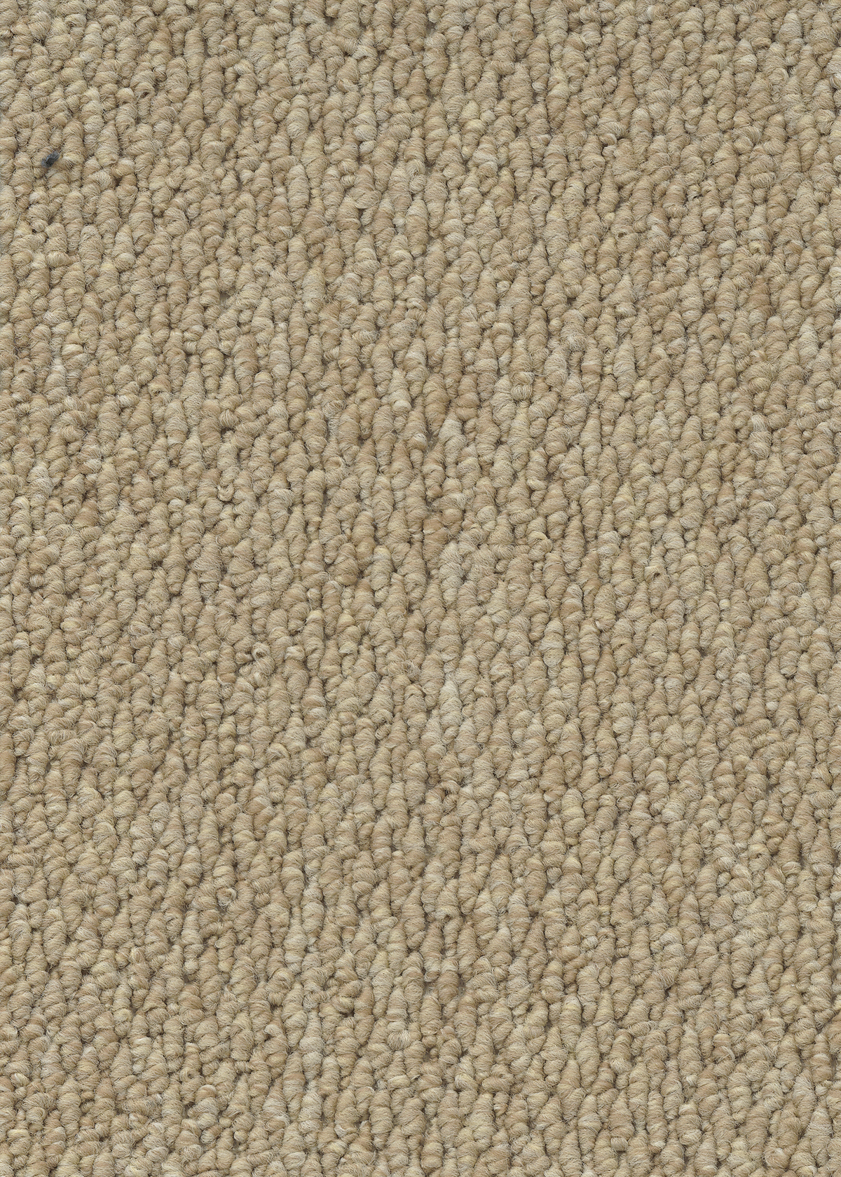 Ковровое покрытие "Bonkeel" Skye 50 (ширина 4м) — купить в Орле